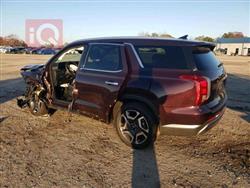 هيونداي باليسيد